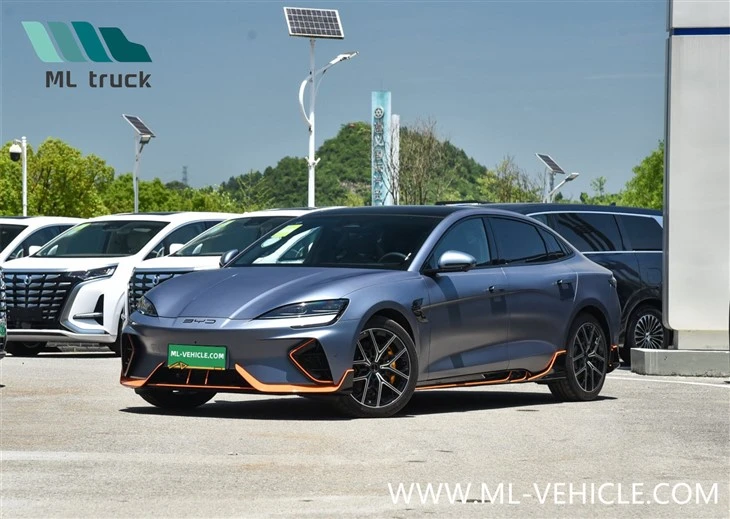 BYD   zīmogs   čempions   izdevums   EV