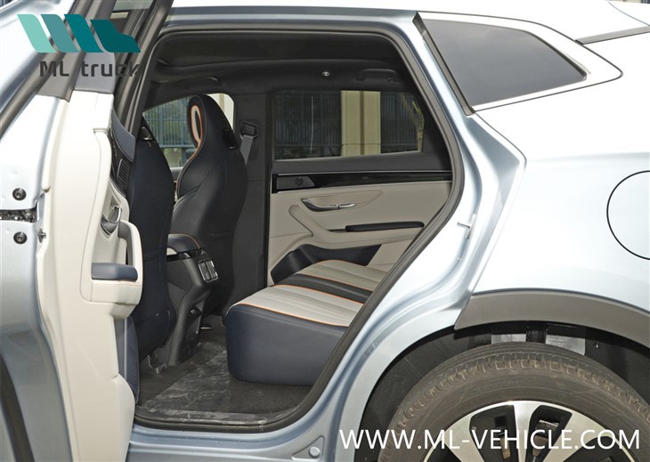 BYD SONG PLUS Champion Edition DMI