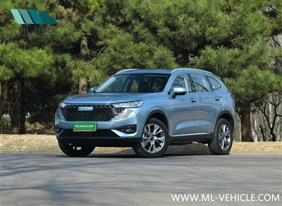 HAVAL H6 PHEV