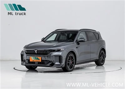 2025. gada jauns VOYAH bezmaksas apvidus auto 318 PHEV