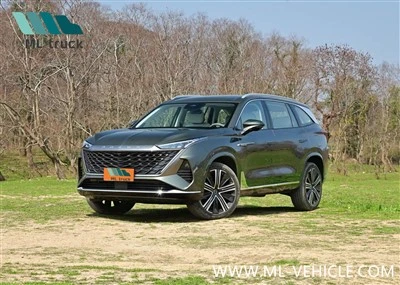 2023. gada Saic Roewe RX9 SUV